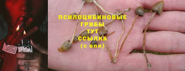 каннабис Алзамай
