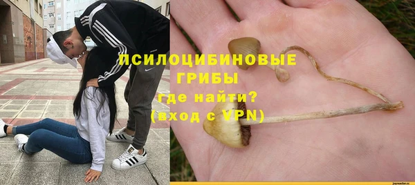 стаф Алексин