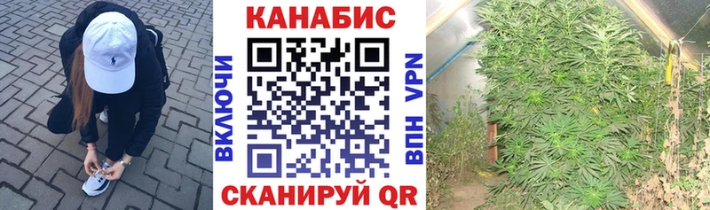 Конопля AK-47  купить наркоту  darknet как зайти  Шумиха 